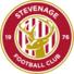 斯蒂文尼奇logo